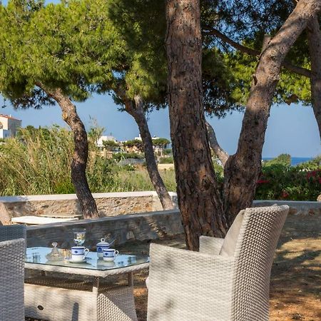 Dellagracia Mansion In Poseidonia Syros Villa Posidhonia  Luaran gambar